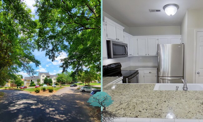 property at 3200 Selwyn Farms Ln