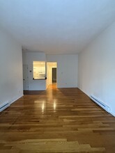 102 E Brookline St, Unit 2 in Boston, MA - Building Photo - Building Photo