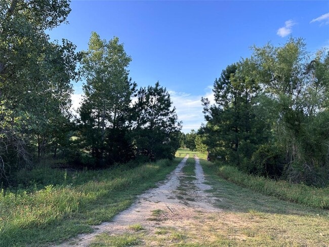 214 Pine Path in Bastrop, TX - Building Photo - Building Photo