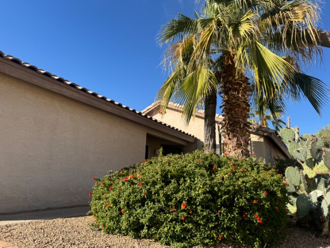 1800 E Countrywalk Ln in Chandler, AZ - Building Photo - Building Photo