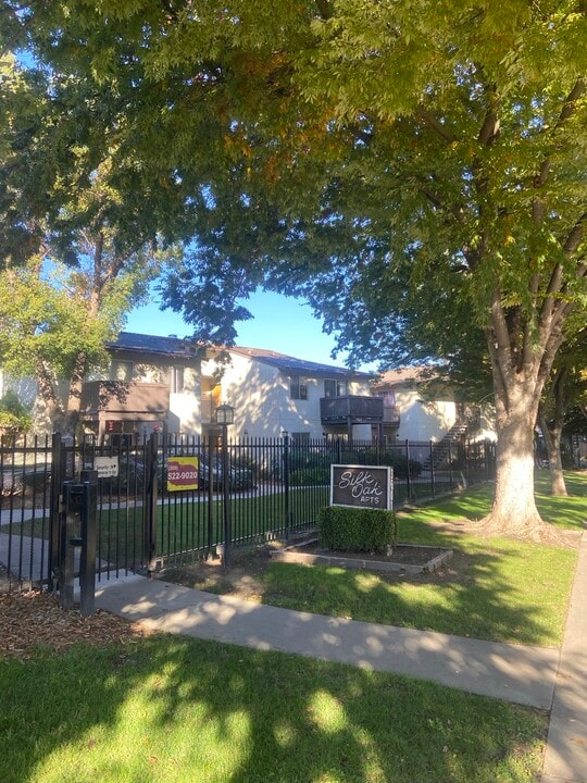 Silk Oak Apartments in Modesto, CA - Building Photo