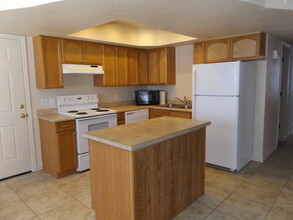 311 Opossum Dr in Lake Havasu City, AZ - Building Photo - Building Photo