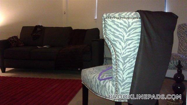 40 A Harvard Ave in Brookline, MA - Building Photo - Building Photo