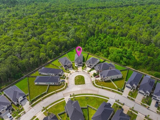 17914 Purple Amaranth in The Woodlands, TX - Building Photo - Building Photo