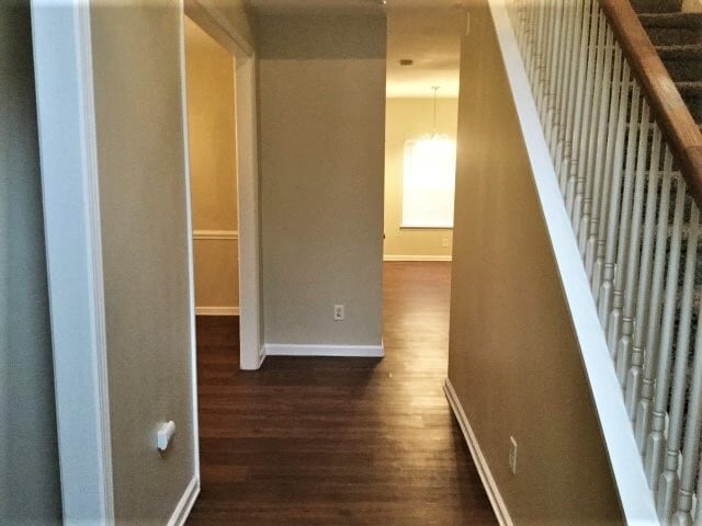 3846 Pauline Ln in Charlotte, NC - Foto de edificio - Building Photo