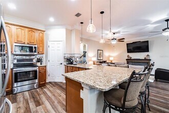 539 Treviso Dr in Apollo Beach, FL - Building Photo - Building Photo