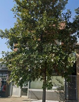 3946 N Cicero Ave in Chicago, IL - Building Photo