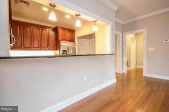 401 13th St NE in Washington, DC - Building Photo - Building Photo