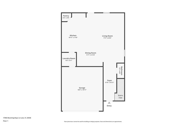 17892 Beaming Rays Ln in Lutz, FL - Building Photo - Building Photo