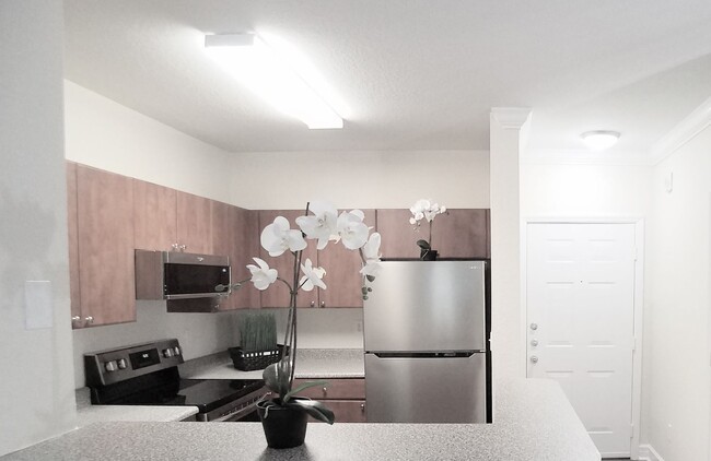 202 E South St in Orlando, FL - Foto de edificio - Building Photo