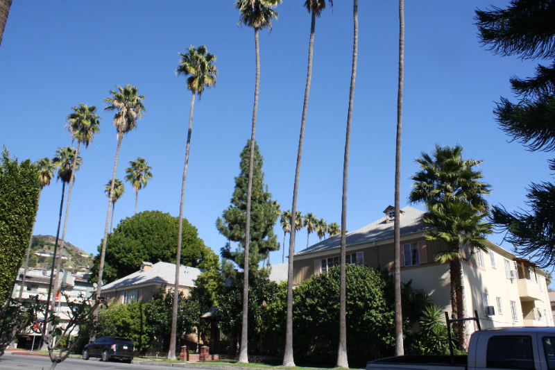 1650 N Ogden Dr in Los Angeles, CA - Building Photo