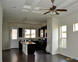 1237 Clearwing Cir in Georgetown, TX - Building Photo - Building Photo