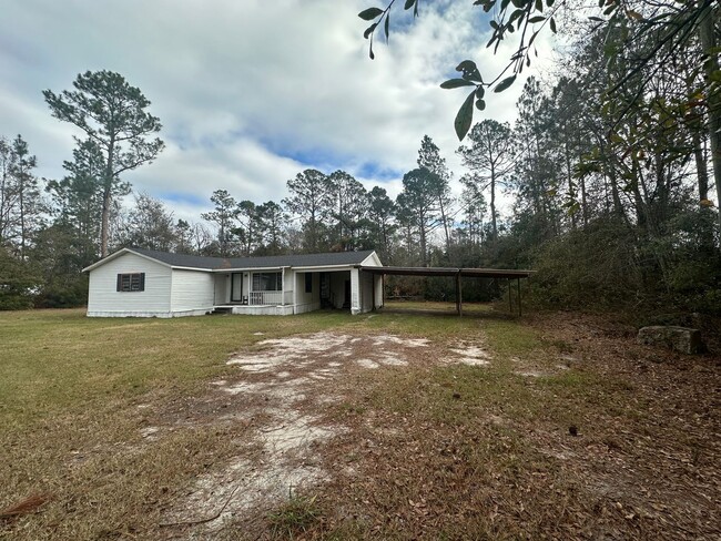 55 Hoke Floyd Rd in Baxley, GA - Building Photo - Building Photo