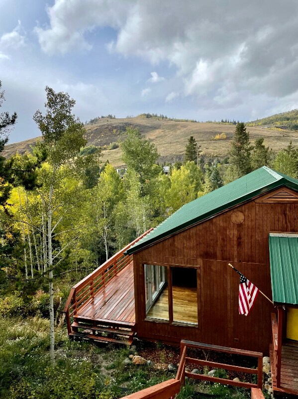 347 Deer Path Rd in Dillon, CO - Building Photo - Building Photo