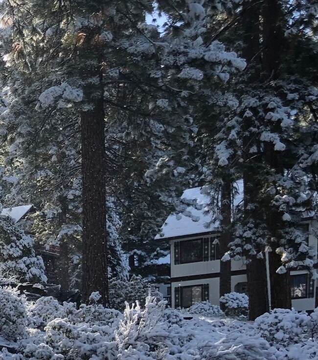 1117 Lucerne Way in Incline Village, NV - Building Photo - Building Photo