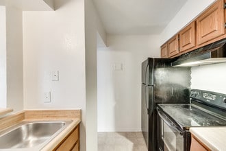 Foxfire Apartment Homes in Denton, TX - Building Photo - Building Photo