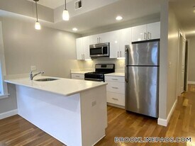 52 Kent St, Unit 1A in Brookline, MA - Building Photo