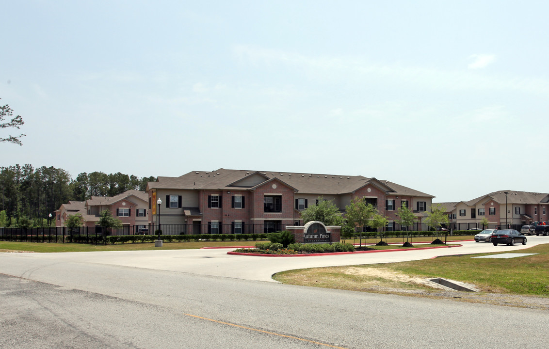 Autumn Pines in Humble, TX - Building Photo