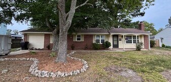 3916 Wood Gate Ln in Virginia Beach, VA - Building Photo