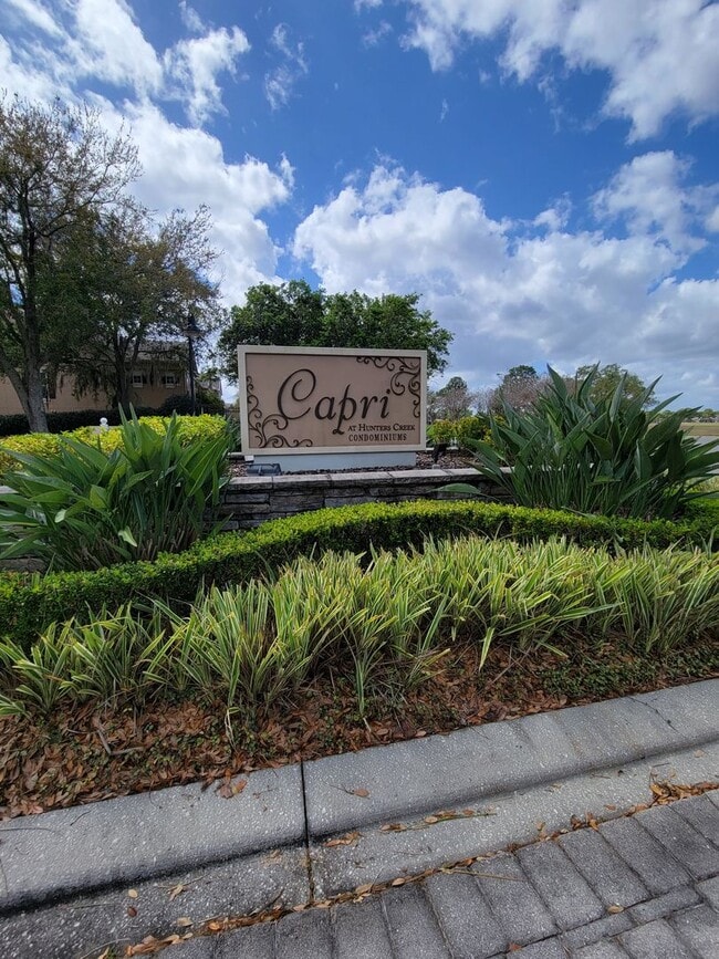 14205 Falls Church Dr in Orlando, FL - Building Photo - Building Photo