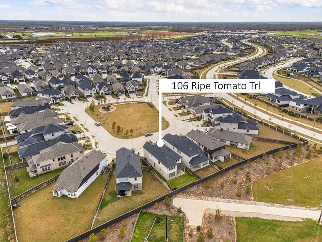 106 Ripe Tomato Trl in Richmond, TX - Building Photo - Building Photo