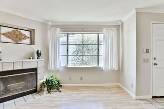 4575 Contour Blvd in San Diego, CA - Building Photo - Building Photo
