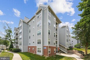 10248 Appalachian Cir in Oakton, VA - Building Photo
