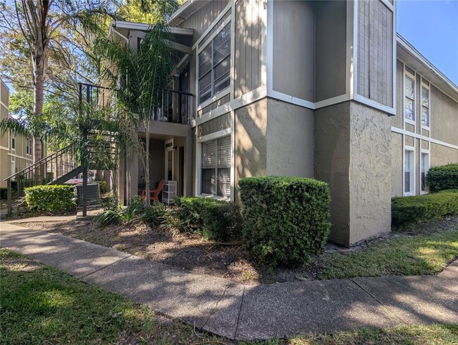 14317 Hanging Moss Cir in Tampa, FL - Building Photo - Building Photo