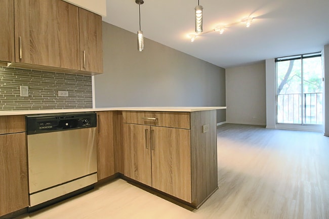 929 S Ashland Ave in Chicago, IL - Building Photo - Building Photo