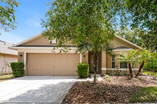 7442 Citrus Blossom Dr in Land O Lakes, FL - Building Photo