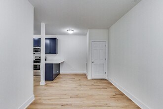 815 S Carpenter St in Chicago, IL - Building Photo - Building Photo