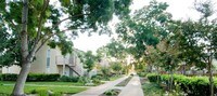 Building Photo - Live Oak Apartamentos in Modesto, California