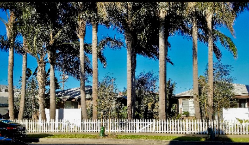 2226 S Carmelina Ave in Los Angeles, CA - Building Photo