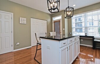 372 W Wood St in Palatine, IL - Building Photo - Building Photo