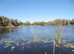 5008 School Rd in Land O Lakes, FL - Building Photo - Building Photo