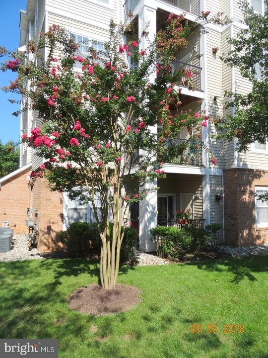 19609 Galway Bay Circle-Unit -103 in Germantown, MD - Foto de edificio