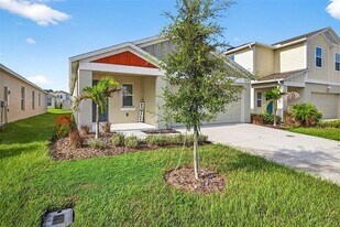 7782 Peace Lily Ave in Wesley Chapel, FL - Building Photo