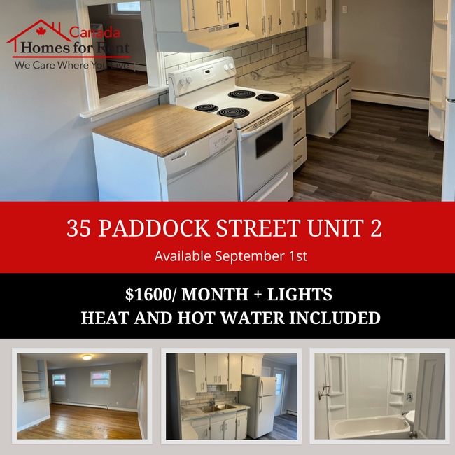 property at 35 Paddock St