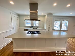 55 Eliot Cres, Unit 1 in Chestnut Hill, MA - Foto de edificio - Building Photo
