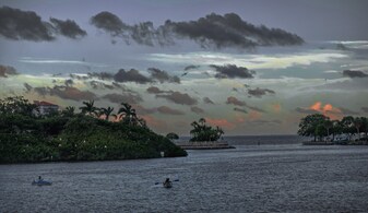 246 21st Ave N, Unit Porch View in St. Petersburg, FL - Building Photo
