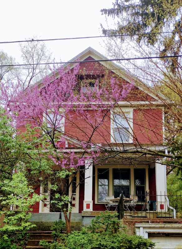 20 Greenwood Ave in Dayton, OH - Building Photo - Building Photo
