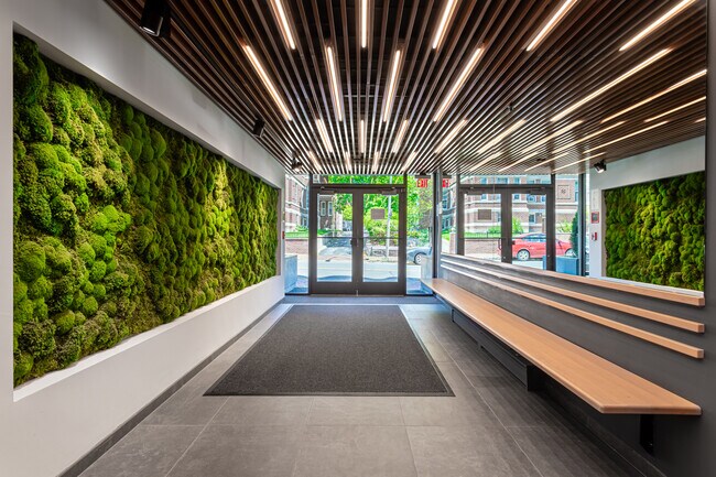 334 Harvard Street in Cambridge, MA - Foto de edificio - Interior Photo