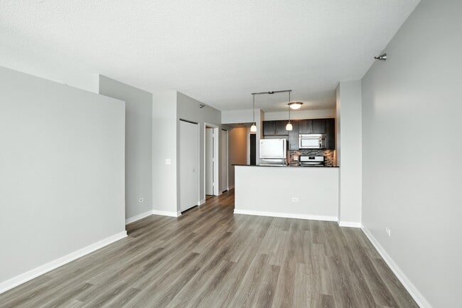 385 E Ohio St in Chicago, IL - Building Photo - Building Photo