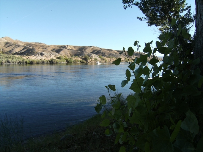 Pier 95 in Bullhead City, AZ - Building Photo