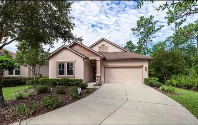 property at 12152 Hazelmoor Ct