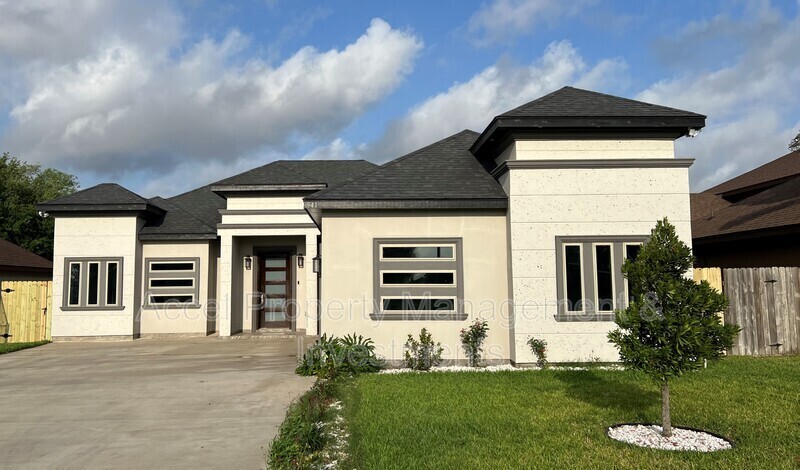 941 S 14th St in Alamo, TX - Building Photo