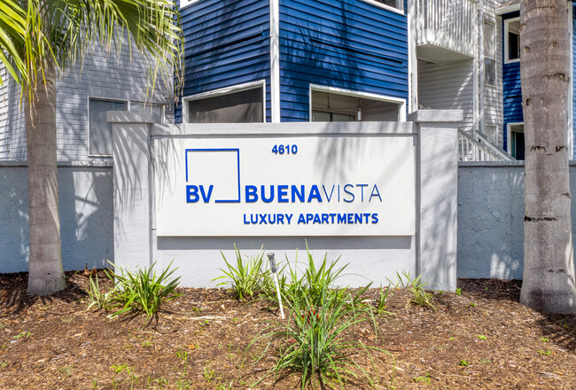 Buena Vista in Tampa, FL - Foto de edificio - Building Photo