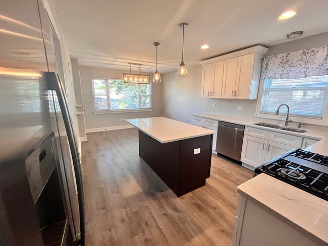 701 McCarthy St in Lemont, IL - Building Photo - Building Photo