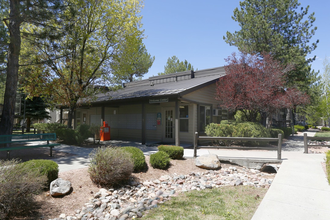 Pine View Village Apartments in Flagstaff, AZ - Foto de edificio