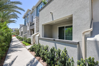 6010 Colt Plz, Unit 102 in Carlsbad, CA - Building Photo - Building Photo